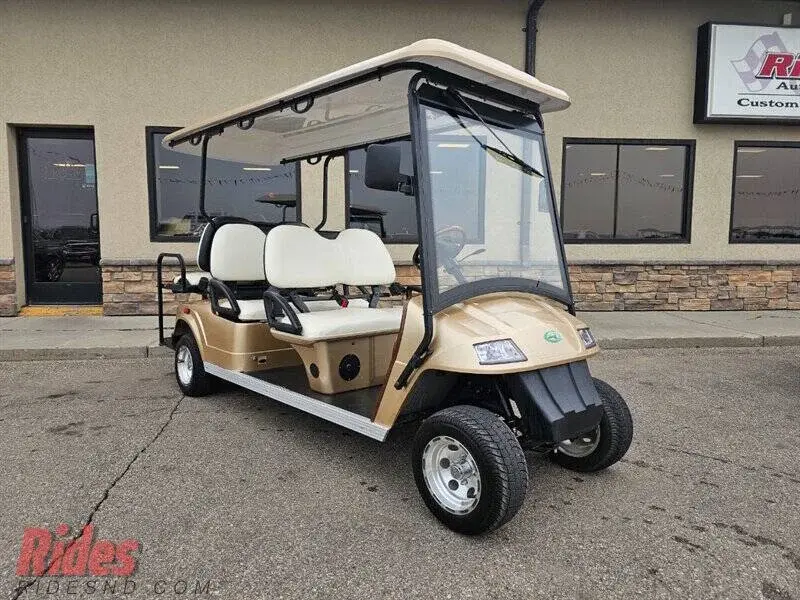 2010 Zone Electric 6 photo 1