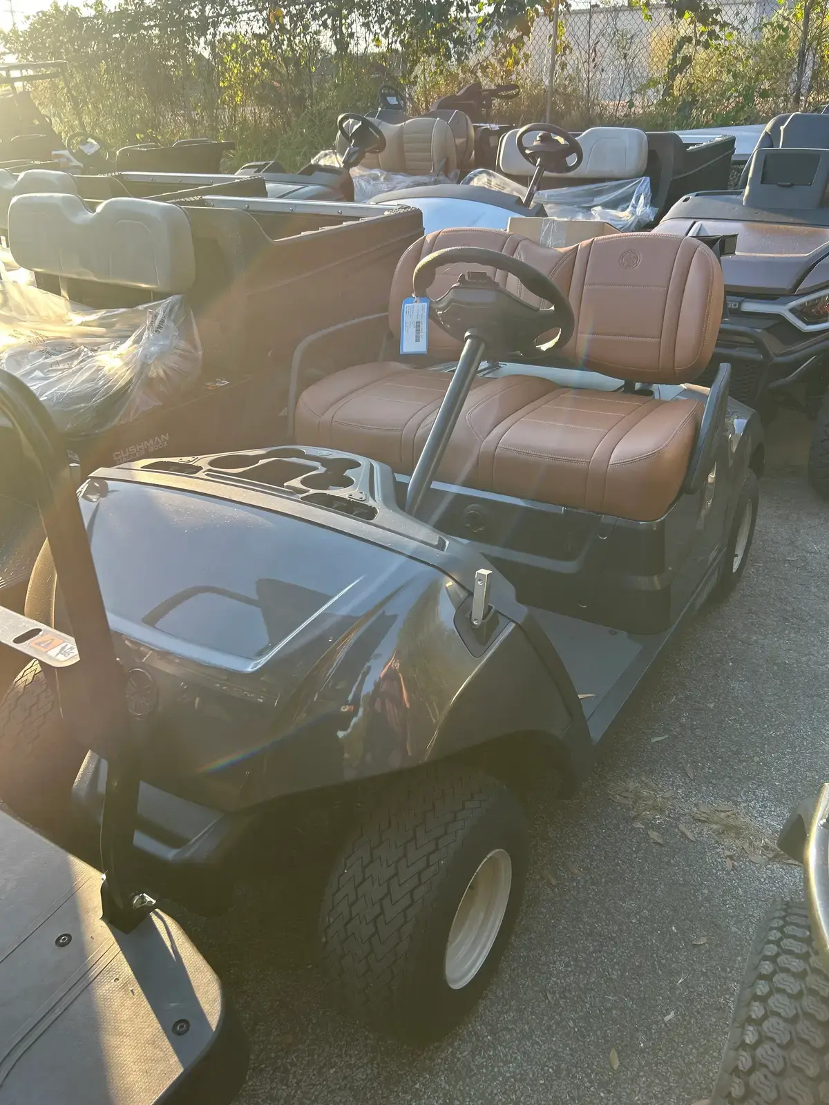2021 Yamaha Drive2 photo 1