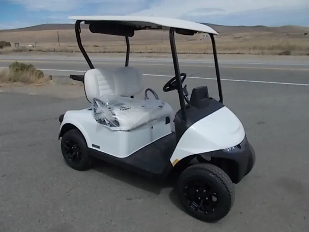 2027 E-Z-GO Freedom ELiTE Lithium photo 1