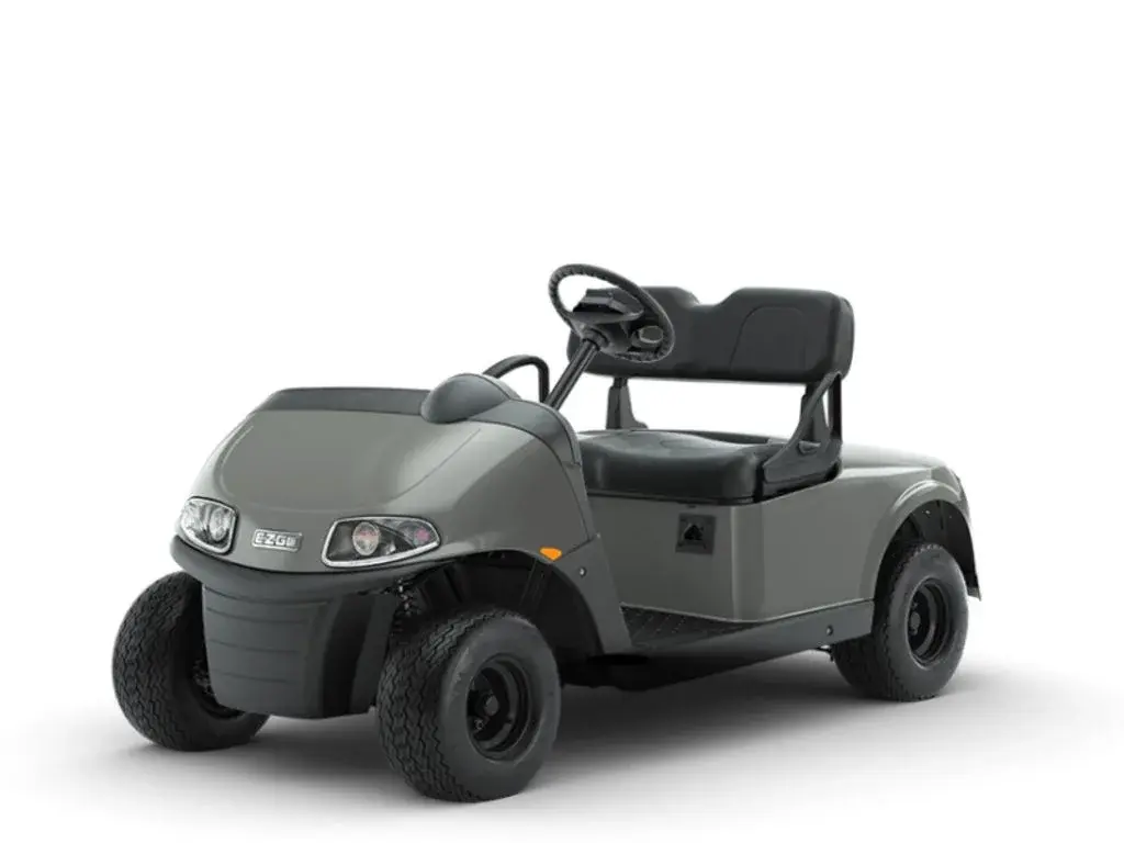 2023 E-Z-GO Freedom ELiTE Lithium photo 1