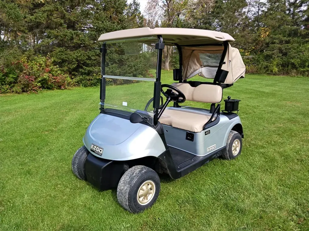 2014 E-Z-GO RXV photo 1
