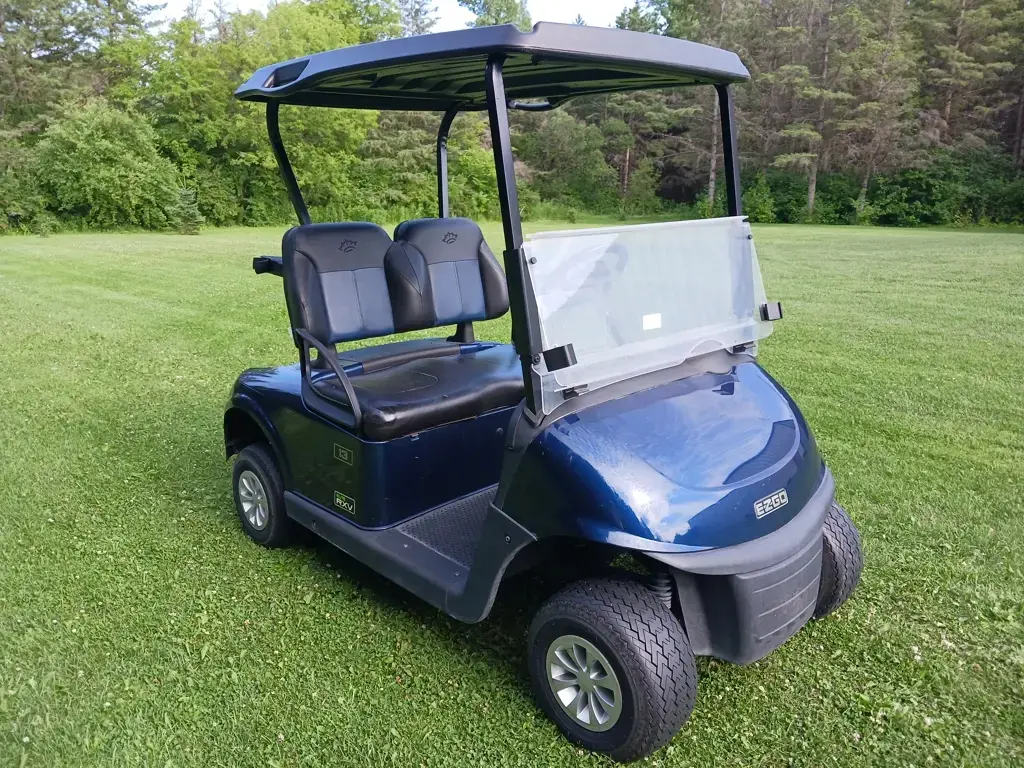 2020 E-Z-GO RXV photo 1