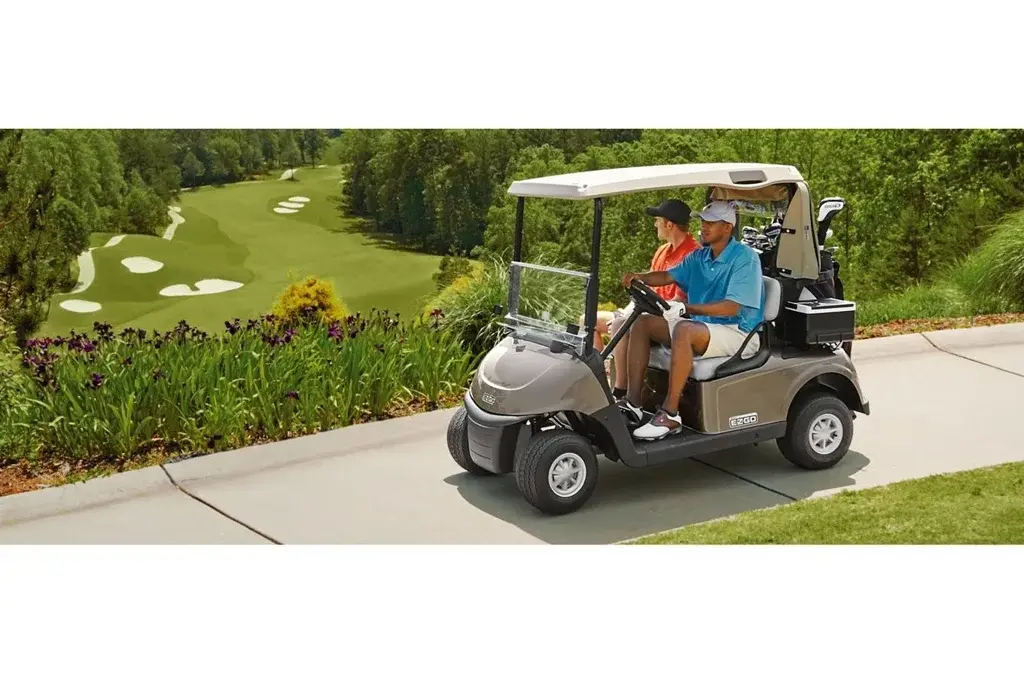 2019 E-Z-GO RXV photo 1