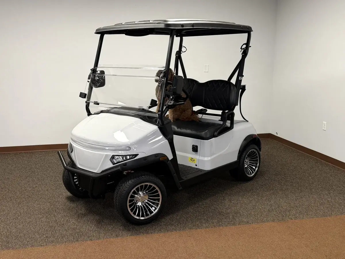 2026 Denago Nomad XL 2 Passenger photo 1