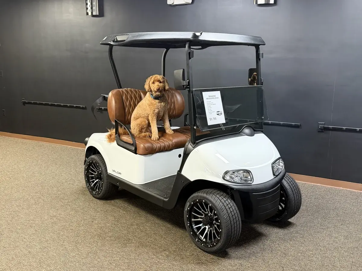 2020 E-Z-GO Freedom ELiTE Lithium photo 1