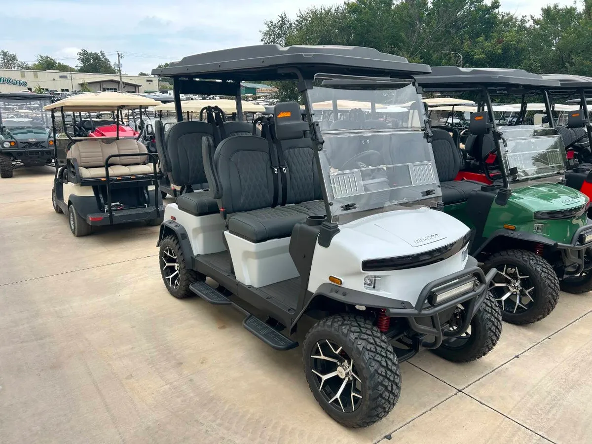 2026 Denago Rover XL Electric photo 1