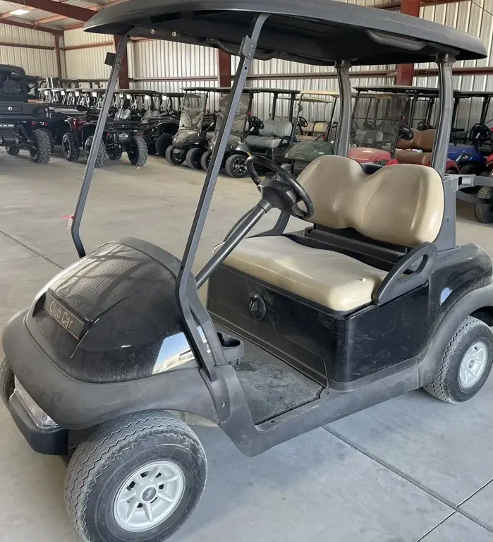 2015 Club Car Precedent Gas photo 1