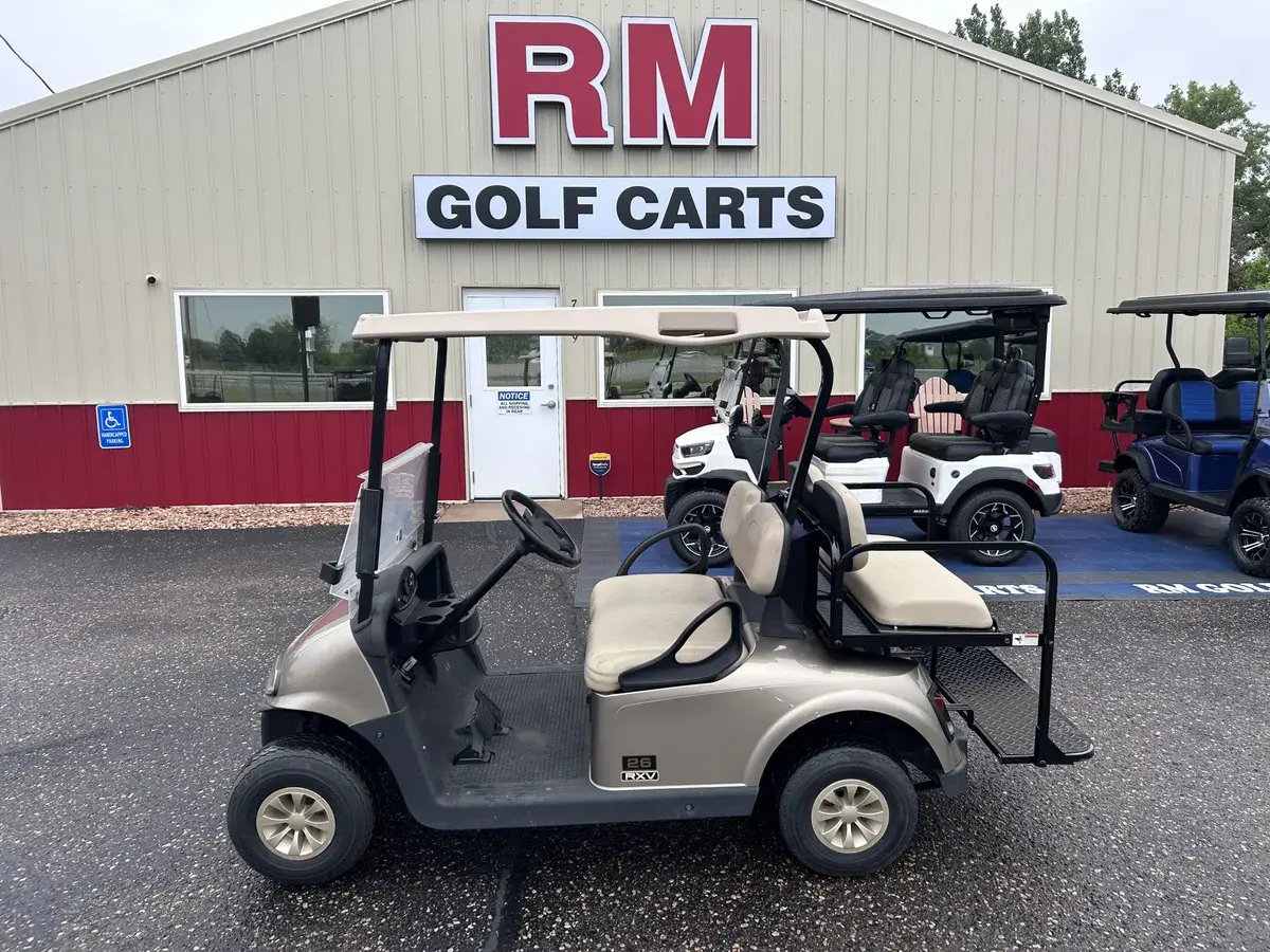 2019 E-Z-GO RXV photo 1