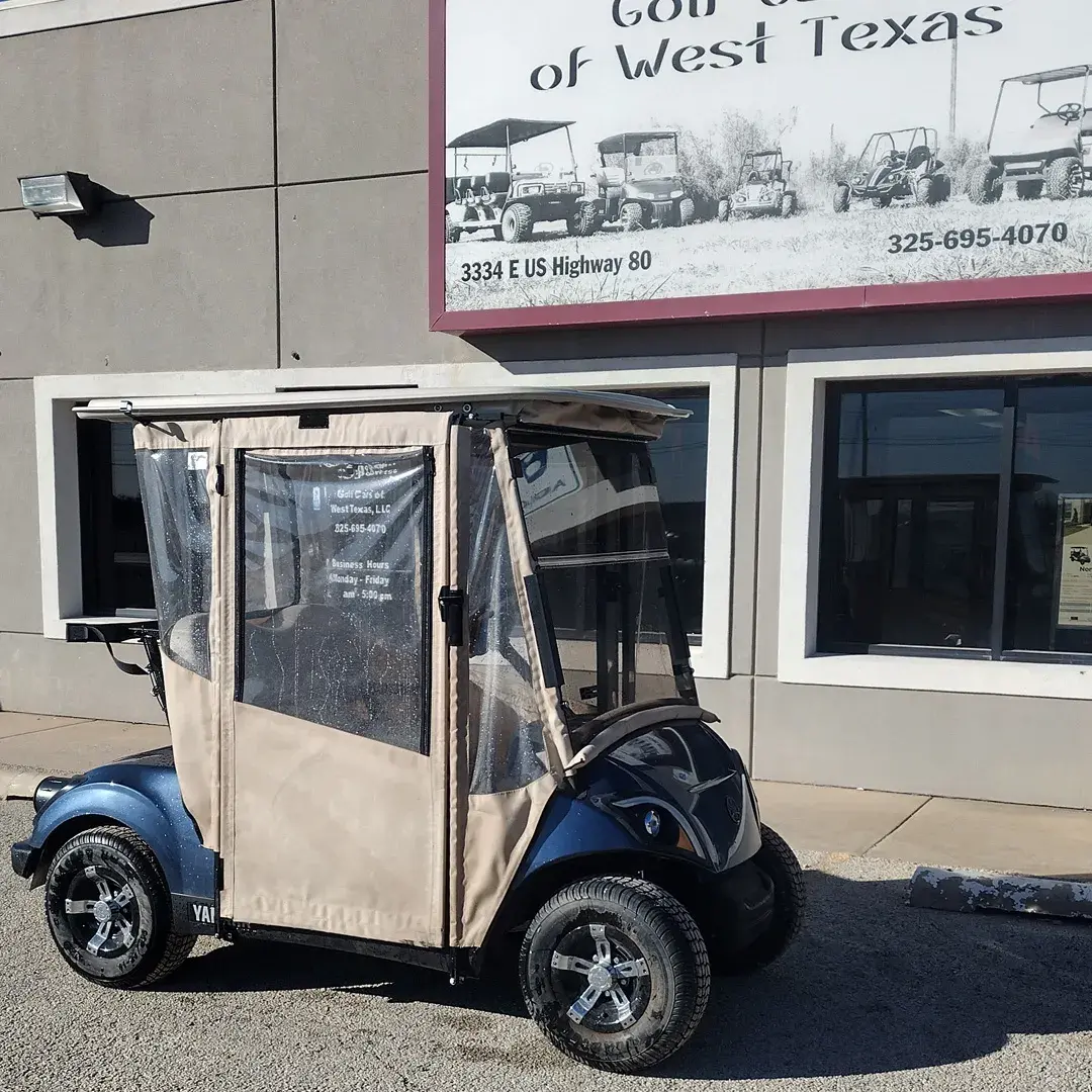 2019 Yamaha Drive Electric photo 1