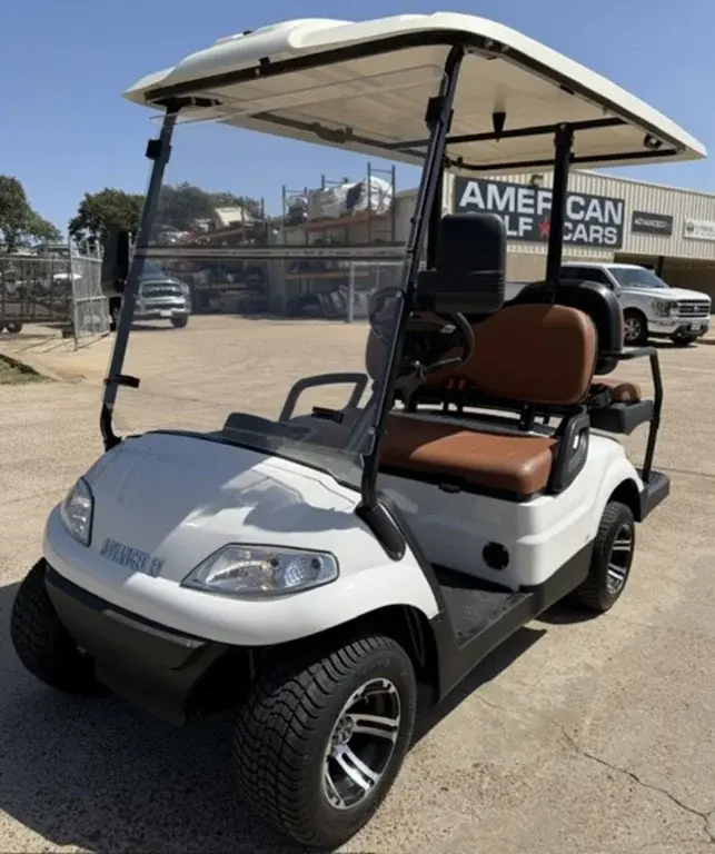2023 Advanced EV EV1 4 Passenger photo 1