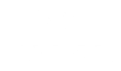 Valor Carts